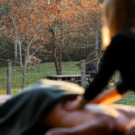 Nyaraló L Atypique Insolite Avec Et Sauna Privatifs